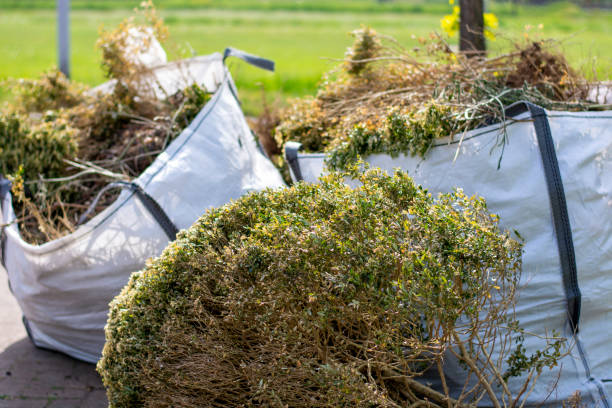 Best Junk Removal Near Me  in Hillsdale, NJ